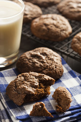 Homemade Double Chocolate Chip Cookies