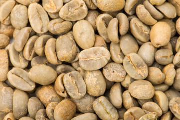 Green raw coffee beans.