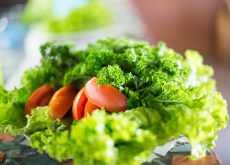 Green salad with tomatoes