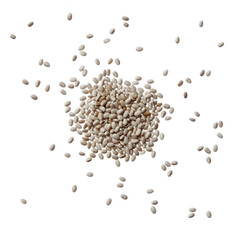 White chia seeds against white background