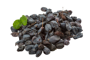 Dry Berberis