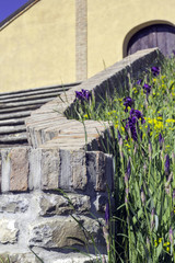 Santa Margherita Staffora Church detail color image