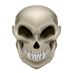 Obraz premium Skull of a mutant