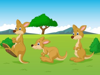 Cute kangaroo cartoon playing in the grassland