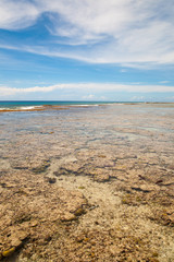 Coral Beach in Ritidian, Guam