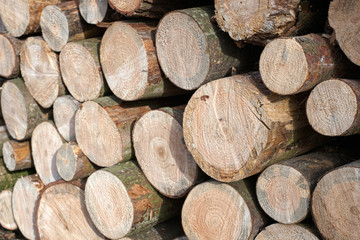 Wood logs