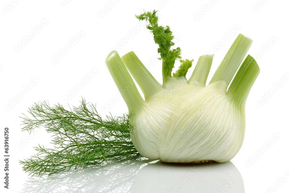 Sticker Fresh Fennel