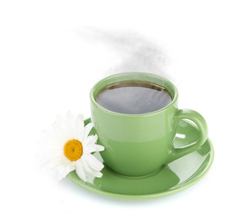 fresh tea camomile flowers