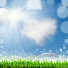 Obraz premium Spring nature background with grass