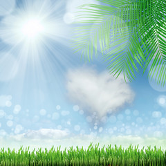 Obraz premium natural green background with selective focus