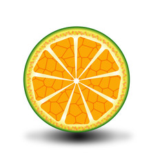 Citrus slice