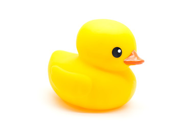 yellow rubber duck