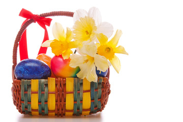 Colorful Easter eggs and white Narcissus.