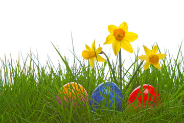 Colorful Easter eggs and green grass.