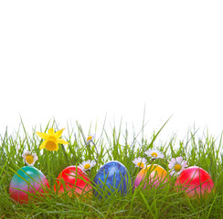 Colorful Easter eggs and green grass.