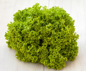 fresh green lettuce salad