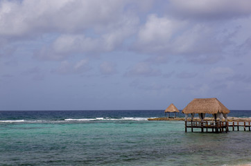 wooden dock
