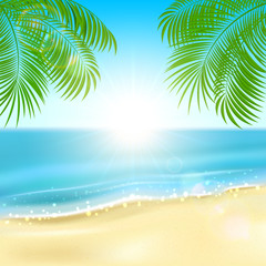 Fototapeta na wymiar Palms on the beach