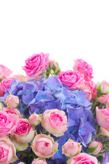 posy of pink roses and blue hortensia flowers close up