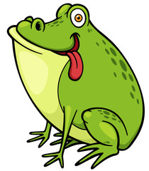 Vector illustration of Cartoon green frog