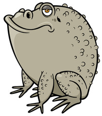 Vector illustration of Cartoon frog
