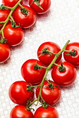 fresh tomatoes on branches