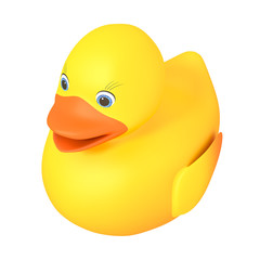 rubber duck