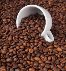 A white cup with many coffee beans on coffe background