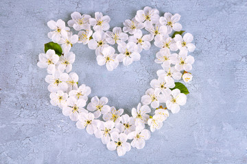 Beautiful cherry blossom on wooden background