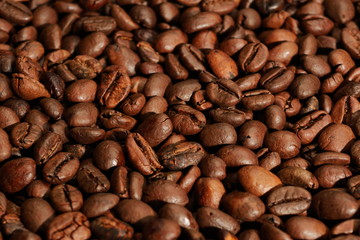 coffee beans