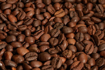 coffee beans