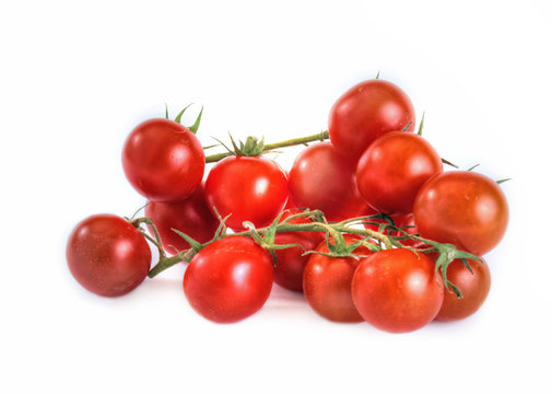 Tomatoes of cherry