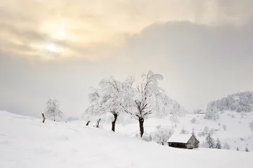 Crédence de cuisine en verre imprimé Hiver beautiful winter landscape