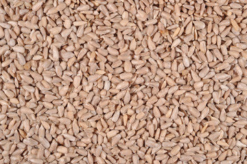 Cleared sunflower seeds background