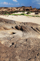 Stone Desert