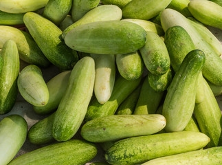 Cucumber background