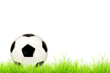 Fototapeta premium soccer ball on green grass