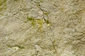 Grunge wall of the old house