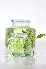 Fresh tarragon leaf with bottle of essential oil on background