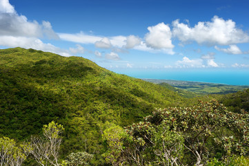 Tropical jungles of Mauritius island