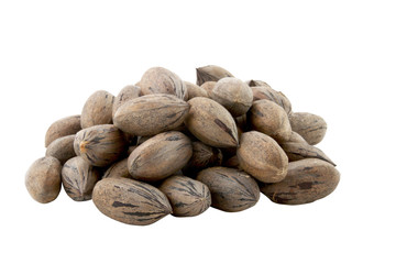 Pile of Newly Picked Pecan Nuts on White