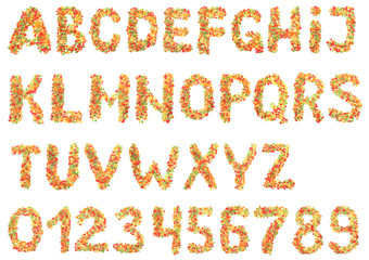 Alphabet from dried fruits