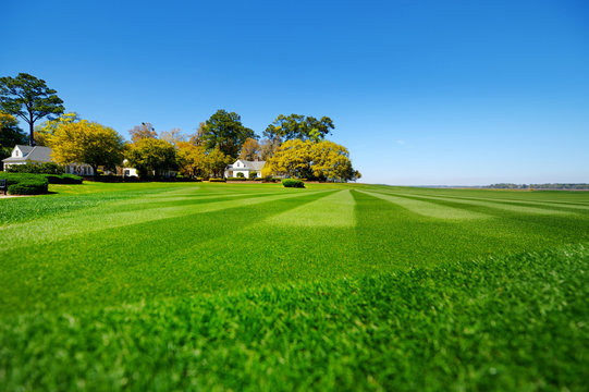 Perfectly Striped Freshly Mowed Garden Lawn