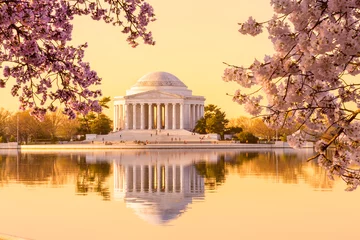 Fotobehang Beautiful early morning Jefferson Memorial © steheap