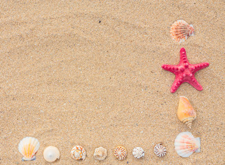 Starfish and wave on the sandy beach