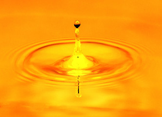 a drop of water falls in a golden water. macro