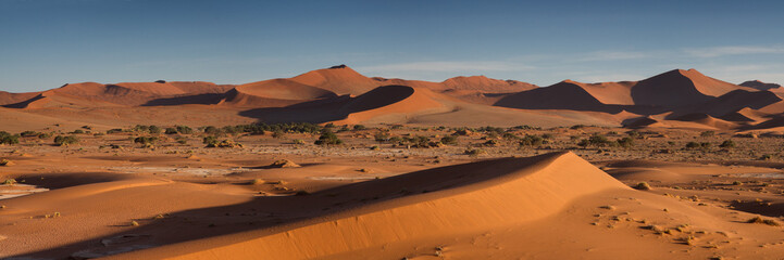 Fototapeta na wymiar Panorama over the Sossusvlei dune field