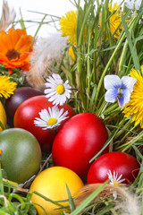  Easter eggs in the grass and flowers