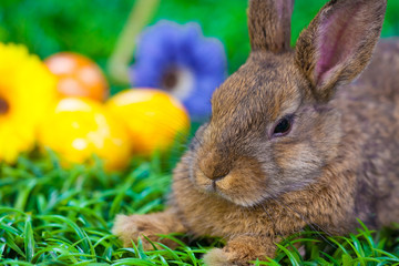 Easter
