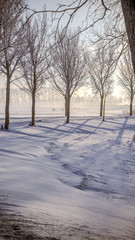 A rural road on a dutch dike,